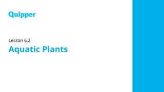 Lesson 6.2
Aquatic Plants
 