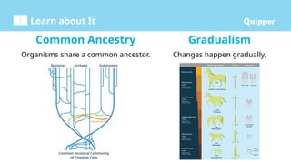 Learn about It
Common Ancestry
Organisms share a common ancestor.
Gradualism
Changes happen gradually.
 