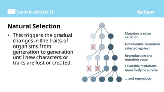 Learn about It
Natural Selection
• This triggers the gradual
changes in the traits of
organisms from
generation to generation
until new characters or
traits are lost or created.
 