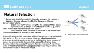 Learn about It
Natural Selection
• Darwin was able to formulate his theory by observing the variation in
beaks of finches, a type of bird in the Galapagos Islands.
Darwin’s observations:
- birds looked highly similar except for the shapes of their beaks.
- noticed that this is related to their type of habitat (e.g., in the
forest and the sea) where the birds were located
- concluded that these variations in the beaks of the finches were
due to the type of food present in their habitat.
The modifications in their beaks was a form of evolutionary change to aid in
food gathering. This is a phenomenon known as adaptive radiation,
wherein an ancestral species gives rise to multiple other forms because of
causes like environmental changes. In the case of the finches, it was
determined that the ancestral finch came from the mainland. A storm blew
some of these finches to the Galapagos Islands where they diversified into
new forms because of differences in food.
 