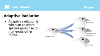 Learn about It
Adaptive Radiation
• Adaptive radiation is
when an ancestral
species gives rise to
numerous other
forms.
 