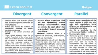 Learn about It
Divergent Convergent Parallel
• occurs when one species gives
rise to more species because of
many factors.
• factors can include the isolation of
populations, changes in abiotic
conditions, and more.
• Example : the distant ancestors of
whales.
• These distant ancestors gave rise to
multiple “branches” of the whale family
tree. One of these branches evolved into
the ancestors of dolphins and whales.
These then eventually became the
dolphins and whales we know today. A
different branch from the distant ancestor
eventually gave rise to the ancestors of
the hippopotamus, and eventually the
hippopotamus itself. Adaptive radiation is
also an example of divergent evolution.
• occurs when organisms that
are not necessarily related
develop characteristics that
are similar to each other due
to a similarity in environmental
conditions.
Example: milkfish, which is a
species of bony fish, and dolphins,
which are mammals.
These organisms are only very distantly
related to each other but have both
developed flattened fins for balance and
swimming. The evolution of fins is
largely thanks to the similarity of the
environment that fishes and dolphins
share, which is an aquatic habitat.
• occurs when a population of the
same species is split into two,
with both populations being
different but still developing very
similar characteristics.
• due to a similarity in the
environments that they reside in
• Example: pine trees
• There are species of pine trees all
over the world, but these can be
traced to a pine tree ancestor. Most
pine trees can be found in
environments that are similar to
each other, with low temperatures
and high altitudes. As such, the
adaptations of pine trees, whether
they are found in the Philippines or
the United States, are very similar.
 