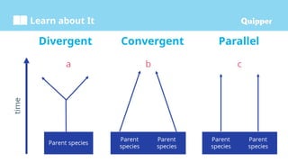Learn about It
Divergent Convergent Parallel
 