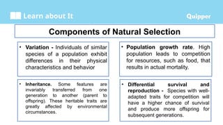 Learn about It
Components of Natural Selection
• Variation - Individuals of similar
species of a population exhibit
differences in their physical
characteristics and behavior
• Population growth rate. High
population leads to competition
for resources, such as food, that
results in actual mortality.
• Inheritance. Some features are
invariably transferred from one
generation to another (parent to
offspring). These heritable traits are
greatly affected by environmental
circumstances.
• Differential survival and
reproduction - Species with well-
adapted traits for competition will
have a higher chance of survival
and produce more offspring for
subsequent generations.
 