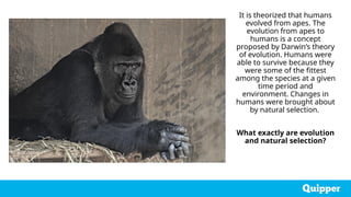It is theorized that humans
evolved from apes. The
evolution from apes to
humans is a concept
proposed by Darwin’s theory
of evolution. Humans were
able to survive because they
were some of the fittest
among the species at a given
time period and
environment. Changes in
humans were brought about
by natural selection.
What exactly are evolution
and natural selection?
 