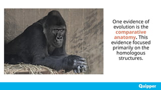 One evidence of
evolution is the
comparative
anatomy. This
evidence focused
primarily on the
homologous
structures.
 