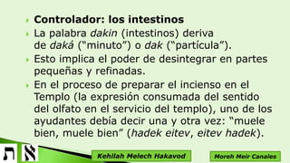  Controlador: los intestinos
 La palabra dakin (intestinos) deriva
de daká (“minuto”) o dak (“partícula”).
 Esto implica el poder de desintegrar en partes
pequeñas y refinadas.
 En el proceso de preparar el incienso en el
Templo (la expresión consumada del sentido
del olfato en el servicio del templo), uno de los
ayudantes debía decir una y otra vez: “muele
bien, muele bien” (hadek eitev, eitev hadek).
Moreh Meir CanalesKehilah Melech Hakavod
 