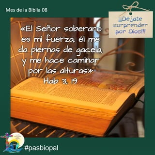 «El Señor soberano
es mi fuerza, él me
da piernas de gacela,
y me hace caminar
por las alturas»
Hab 3, 19
#pasbiopal
Mes de la Biblia 08
 