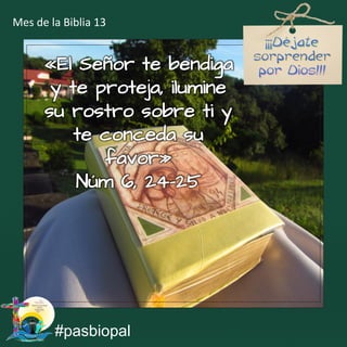 «El Señor te bendiga
y te proteja, ilumine
su rostro sobre ti y
te conceda su
favor»
Núm 6, 24-25
#pasbiopal
Mes de la Biblia 13
 