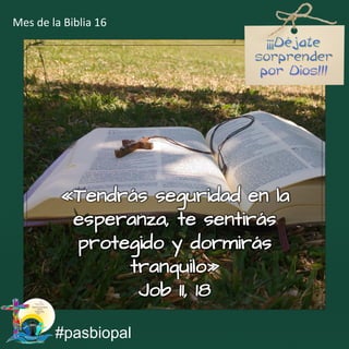 «Tendrás seguridad en la
esperanza, te sentirás
protegido y dormirás
tranquilo»
Job 11, 18
#pasbiopal
Mes de la Biblia 16
 