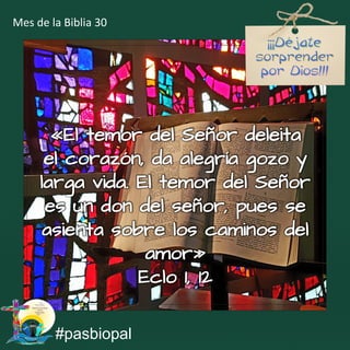 «El temor del Señor deleita
el corazón, da alegría gozo y
larga vida. El temor del Señor
es un don del señor, pues se
asienta sobre los caminos del
amor»
Eclo 1, 12
#pasbiopal
Mes de la Biblia 30
 