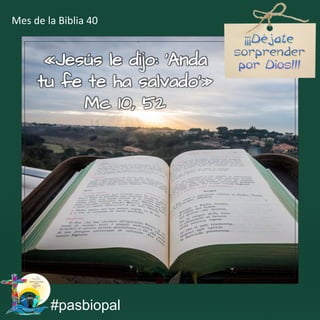 «Jesús le dijo: ‘Anda
tu fe te ha salvado’»
Mc 10, 52
#pasbiopal
Mes de la Biblia 40
 