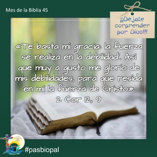 «’Te basta mi gracia: la fuerza
se realiza en la debilidad’. Así
que muy a gusto me glorío de
mis debilidades, para que resida
en mí la fuerza de Cristo»
2 Cor 12, 9
#pasbiopal
Mes de la Biblia 45
 