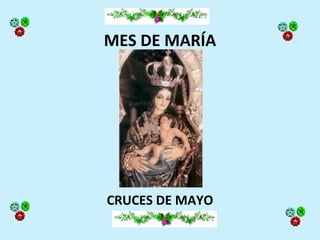 MES DE MARÍA




CRUCES DE MAYO
 