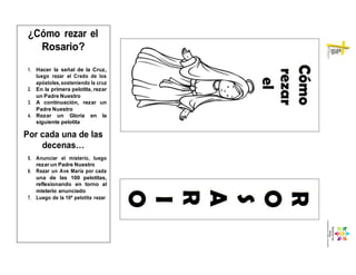 ¿Cómo rezar el
Rosario?
1. Hacer la señal de la Cruz,
luego rezar el Credo de los
apóstoles,sosteniendo la cruz
2. En la primera pelotita, rezar
un Padre Nuestro
3. A continuación, rezar un
Padre Nuestro
4. Rezar un Gloria en la
siguiente pelotita
Por cada una de las
decenas…
5. Anunciar el misterio, luego
rezar un Padre Nuestro
6. Rezar un Ave María por cada
una de las 100 pelotitas,
reflexionando en torno al
misterio anunciado
7. Luego de la 10ª pelotita rezar
 