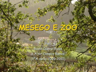 MESEGO E ZOO

          Por:
   David Castro Pazos
  e Aitor Campos Ramos
  (3ºA curso 2009-2010)
 