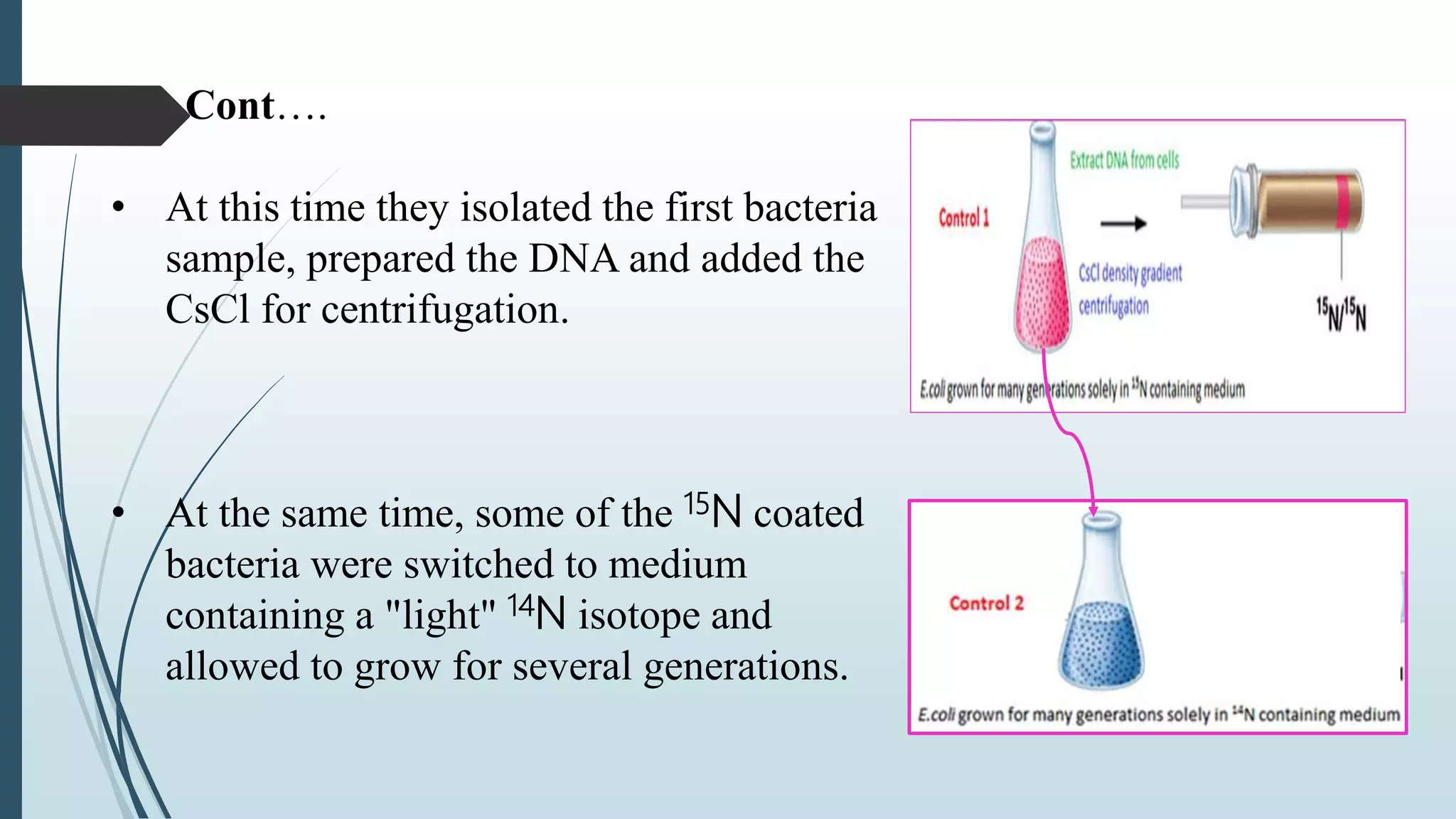 Cont….
• At this time they isolated the first bacteria
sample, prepared the DNA and added the
CsCl for centrifugation.
• At the same time, some of the 15N coated
bacteria were switched to medium
containing a "light" 14N isotope and
allowed to grow for several generations.
 