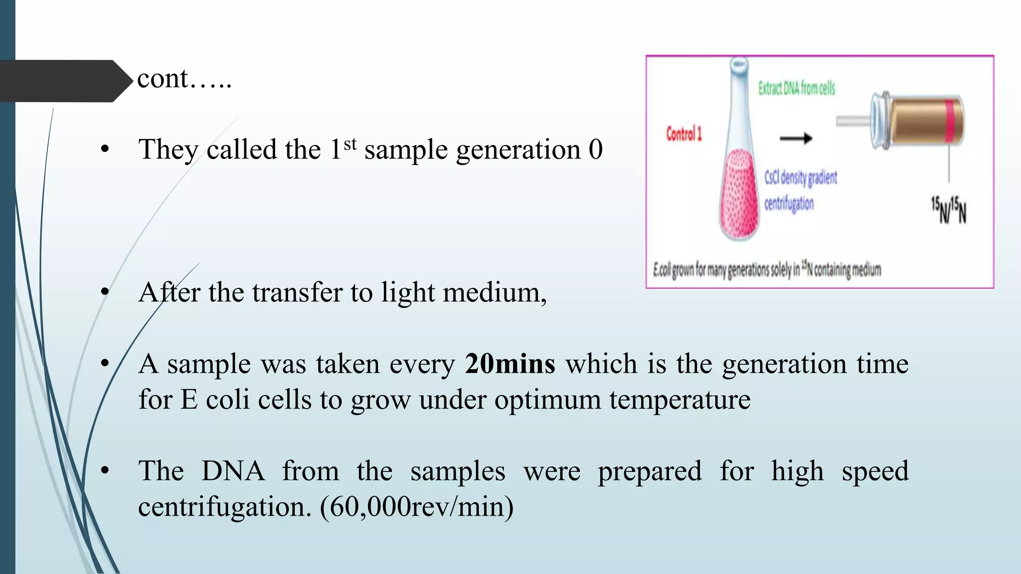 cont…..
• They called the 1st sample generation 0
• After the transfer to light medium,
• A sample was taken every 20mins which is the generation time
for E coli cells to grow under optimum temperature
• The DNA from the samples were prepared for high speed
centrifugation. (60,000rev/min)
 