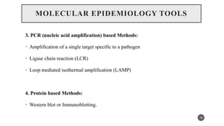 MOLECULAR EPIDEMIOLOGY TOOLS
3. PCR (nucleic acid amplification) based Methods:
• Amplification of a single target specific to a pathogen
• Ligase chain reaction (LCR)
• Loop mediated isothermal amplification (LAMP)
4. Protein based Methods:
• Western blot or Immunoblotting.
18
 
