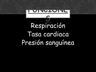 Respiración
Tasa cardiaca
Presión sanguínea
FUNCIONE
S
 