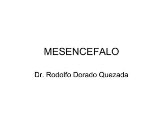 MESENCEFALO
Dr. Rodolfo Dorado Quezada
 