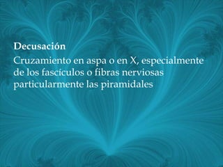 Decusación
Cruzamiento en aspa o en X, especialmente
de los fascículos o fibras nerviosas
particularmente las piramidales
 