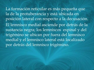 La formación reticular es más pequeña que
la de la protuberancia y está ubicada en
posición lateral con respecto a la decusación.
El lemnisco medial asciende por detrás de la
sustancia negra; los lemniscos espinal y del
trigémino se ubican por fuera del lemnisco
medial y el lemnisco lateral está localizado
por detrás del lemnisco trigémino.
 