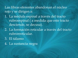 Las fibras eferentes abandonan el núcleo
rojo y se dirigen a:
1. La médula espinal a través del tracto
   rubroespinal ( a medida que este tracto
   desciende, se decusa).
2. La formación reticular a través del tracto
   rubrorreticular.
3. El tálamo
4. La sustancia negra
 