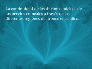La continuidad de los distintos núcleos de
los nervios craneales a través de las
diferentes regiones del tronco encefálico.
 