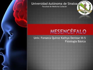 Universidad Autónoma de Sinaloa
Facultad de Medicina Culiacán

Univ. Fonseca Quiroz Kathya Denisse III-5
Fisiología Básica

 