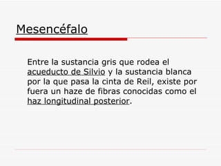 Mesencéfalo Entre la sustancia gris que rodea el  acueducto de Silvio  y la sustancia blanca por la que pasa la cinta de Reil, existe por fuera un haze de fibras conocidas como el  haz longitudinal posterior .  