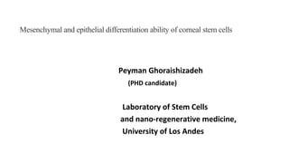 Mesenchymal and epithelial differentiation ability of corneal stem cells
Peyman Ghoraishizadeh
(PHD candidate)
Laboratory of Stem Cells
and nano-regenerative medicine,
University of Los Andes
 