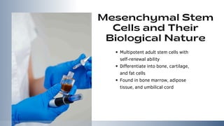 Mesenchymal Stem Cells Therapy in Regenerative Medicine.pdf