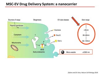 Mesenchymal Stem Stromal Cells Seretome For Regenerative Medicine And ...