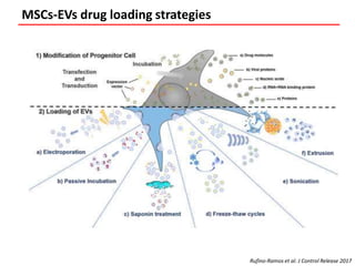 Mesenchymal Stem Stromal Cells Seretome For Regenerative Medicine And ...