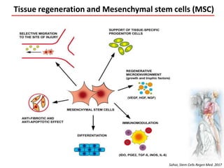 Mesenchymal Stem Stromal Cells Seretome For Regenerative Medicine And ...