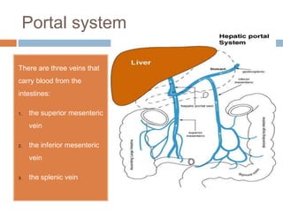 Portal system
There are three veins that
carry blood from the
intestines:
1. the superior mesenteric
vein
2. the inferior mesenteric
vein
3. the splenic vein
 