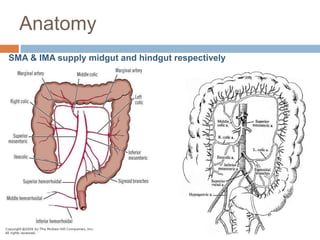 Anatomy
SMA & IMA supply midgut and hindgut respectively
 