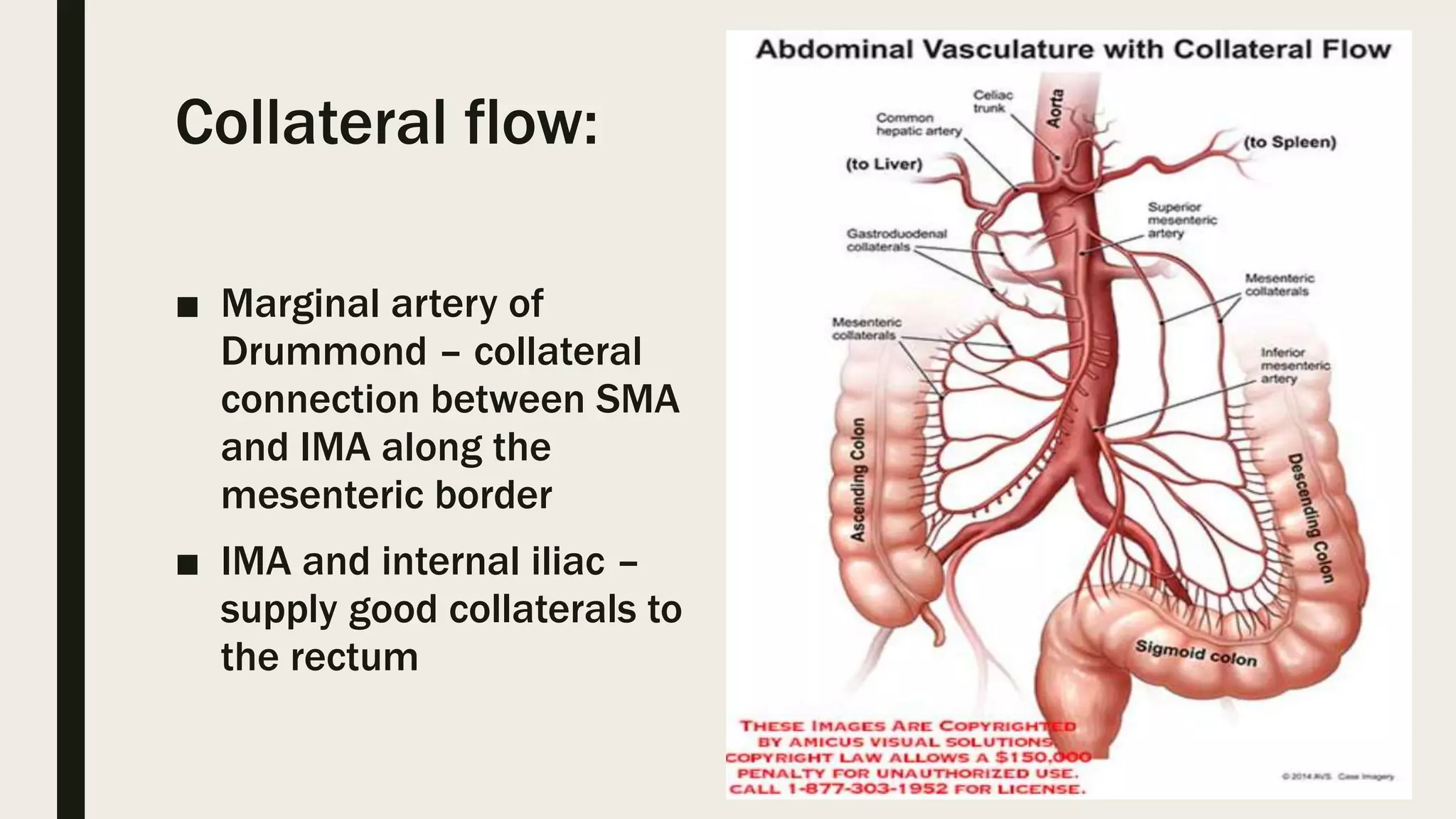 Mesenteric ischemia | PPTX