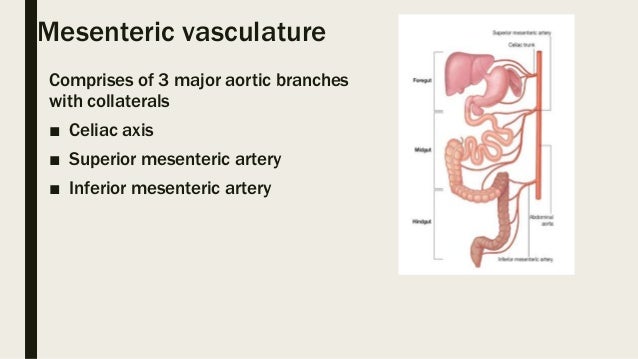 Mesenteric Ischemia Mesenteric Ischemia