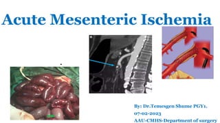 Acute Mesenteric Ischemia.pptx Addis Ababa Uriversity, Ethiopia | PPTX