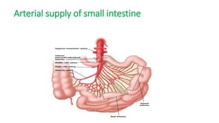 Arterial supply of small intestine
 