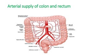 Arterial supply of colon and rectum
 
