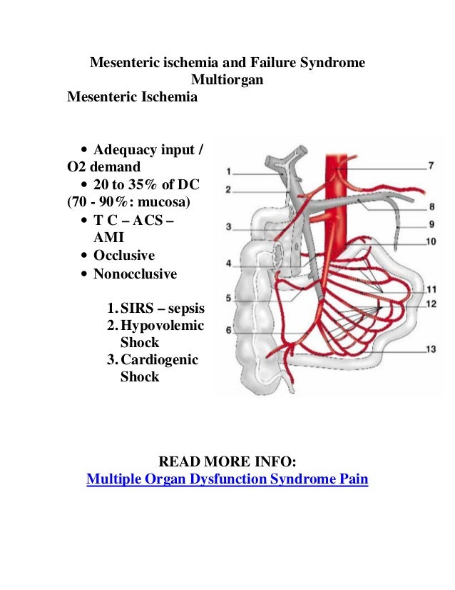 Mesenteric ischemia and failure syndrome