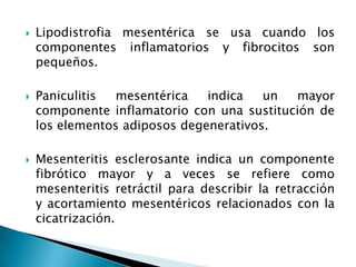    Lipodistrofia mesentérica se usa cuando los
    componentes inflamatorios y fibrocitos son
    pequeños.

   Paniculitis mesentérica    indica   un  mayor
    componente inflamatorio con una sustitución de
    los elementos adiposos degenerativos.

   Mesenteritis esclerosante indica un componente
    fibrótico mayor y a veces se refiere como
    mesenteritis retráctil para describir la retracción
    y acortamiento mesentéricos relacionados con la
    cicatrización.
 