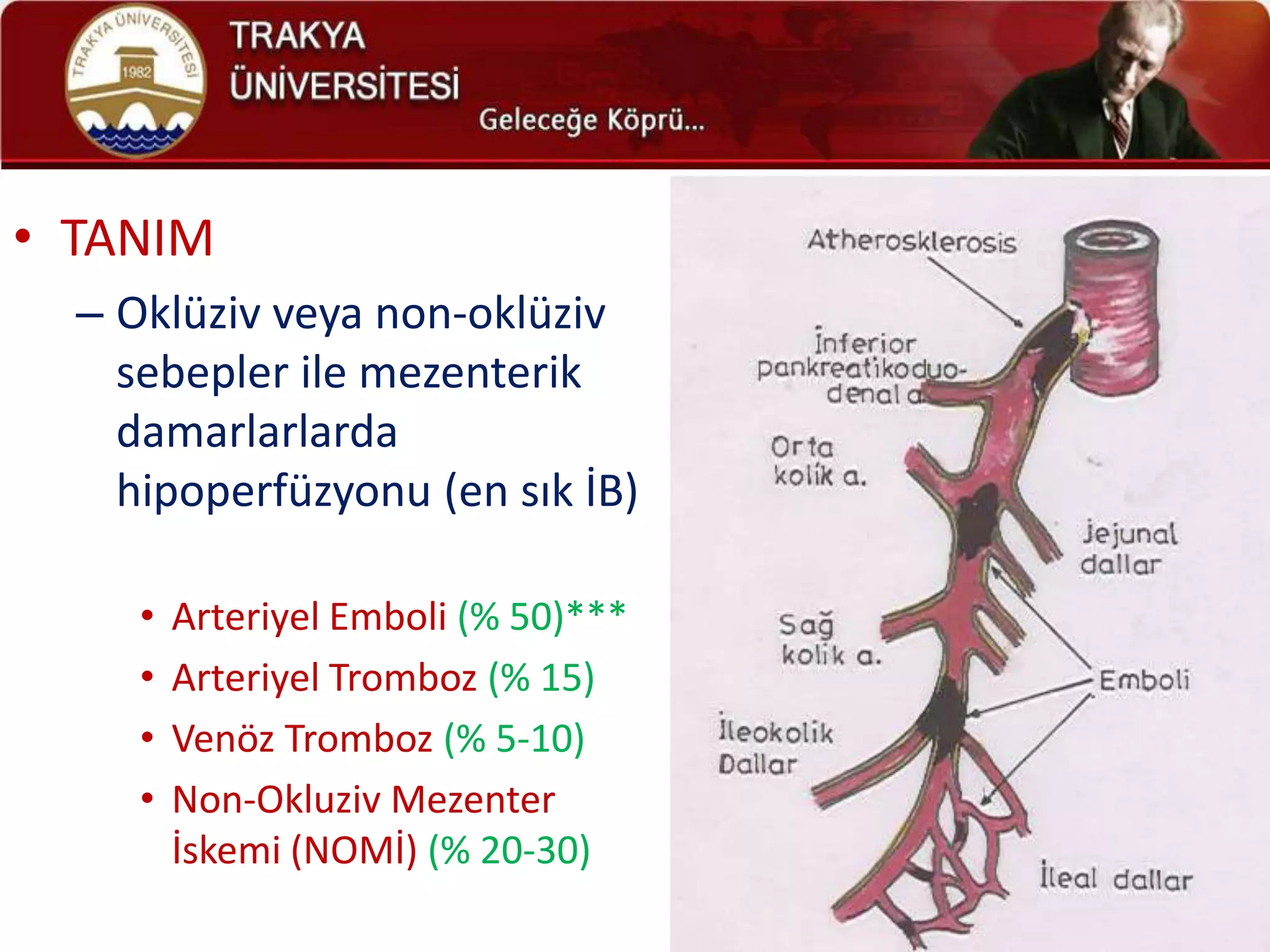 • TANIM
  – Oklüziv veya non-oklüziv
    sebepler ile mezenterik
    damarlarlarda
    hipoperfüzyonu (en sık İB)

     •   Arteriyel Emboli (% 50)***
     •   Arteriyel Tromboz (% 15)
     •   Venöz Tromboz (% 5-10)
     •   Non-Okluziv Mezenter
         İskemi (NOMİ) (% 20-30)
 