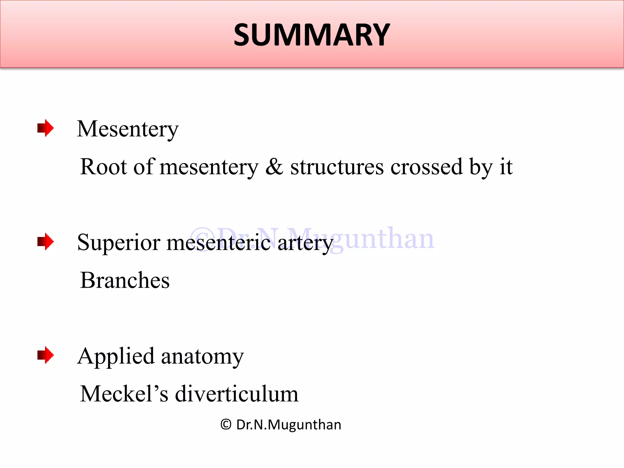 SUMMARY
Mesentery
Root of mesentery & structures crossed by it
Superior mesenteric artery
Branches
Applied anatomy
Meckel’s diverticulum
© Dr.N.Mugunthan
©Dr.N.Mugunthan
 