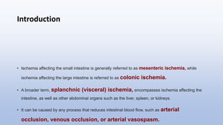 Introduction
• Ischemia affecting the small intestine is generally referred to as mesenteric ischemia, while
ischemia affecting the large intestine is referred to as colonic ischemia.
• A broader term, splanchnic (visceral) ischemia, encompasses ischemia affecting the
intestine, as well as other abdominal organs such as the liver, spleen, or kidneys.
• It can be caused by any process that reduces intestinal blood flow, such as arterial
occlusion, venous occlusion, or arterial vasospasm.
 