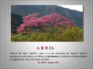 A B R IL
Deriva del latín "aprilis", que a su vez proviene de “aprire" (abrir),
porque en esta época, en Roma es primavera y comienza a desarrollarse
la vegetación. Este mes tiene 30 días.
                           En abril , aguas mil.
 
