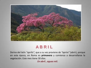 ABRIL
Deriva del latín "aprilis", que a su vez proviene de “aprire" (abrir), porque
en esta época, en Roma es primavera y comienza a desarrollarse la
vegetación. Este mes tiene 30 días.
                             En abril , aguas mil.
 